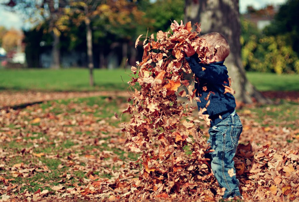 Budget Friendly Fall Activities!